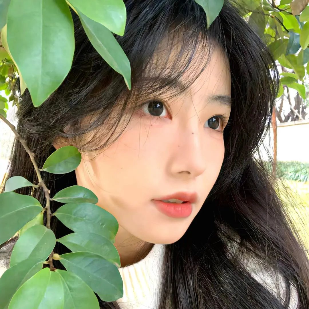 与你的九次相遇